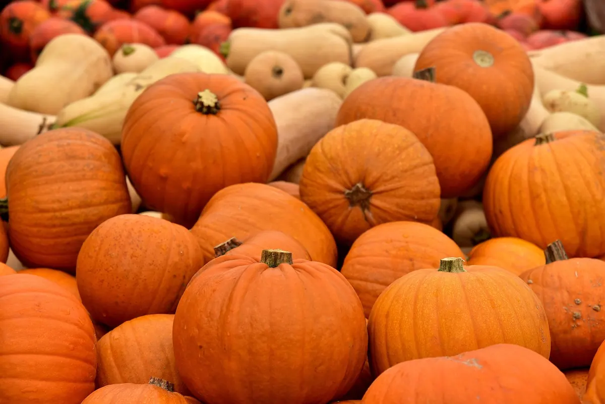 Autumn Antique Fairs: What to Look For and How to Haggle